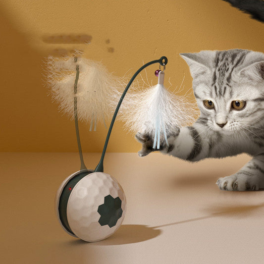 Enjoying Electric Intelligent Bite Resistant Cat Toys