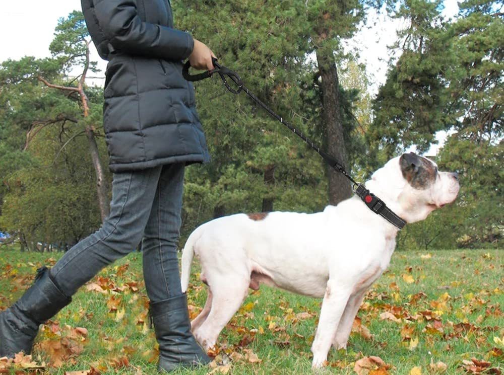 Dogs Leash Running Elasticity Hand Freely Pet Products