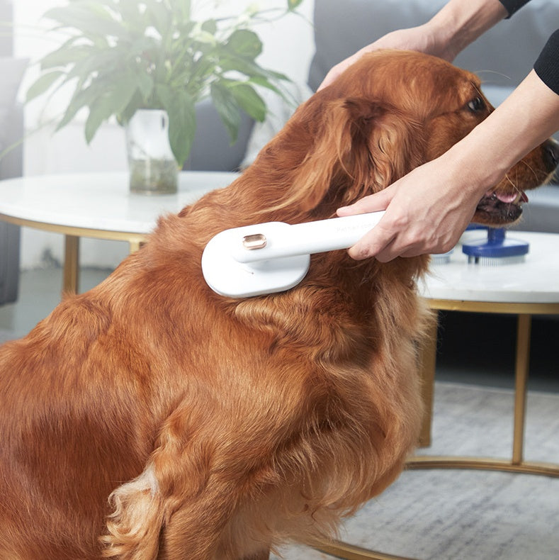 Pet Comb Cat Dog