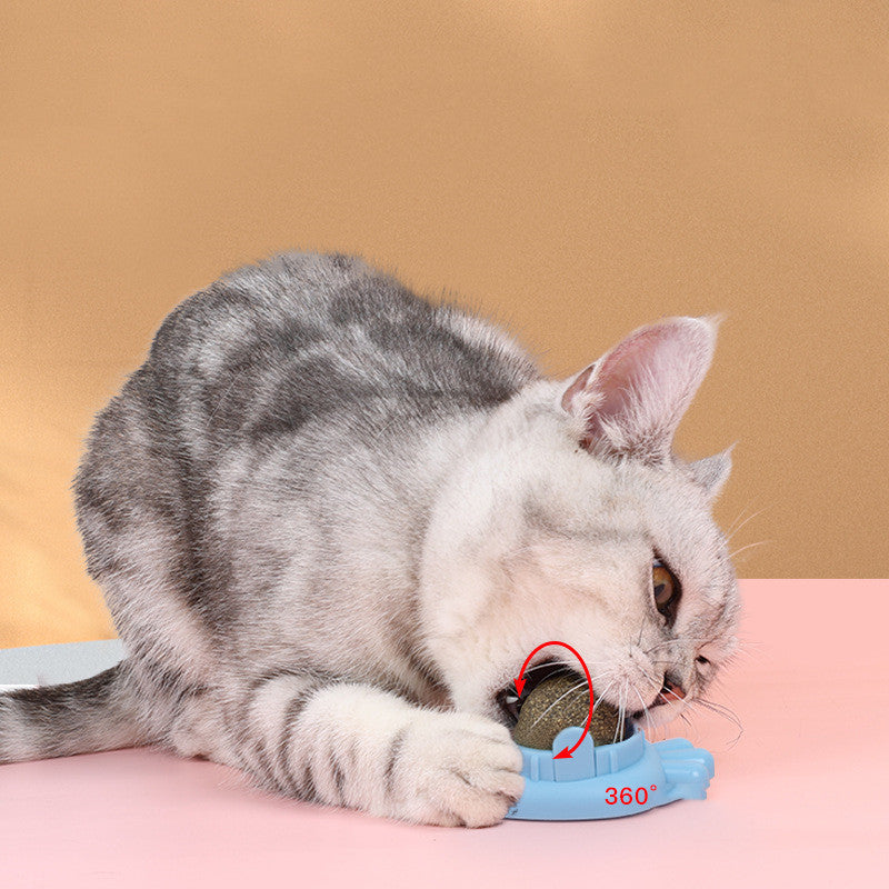 Pet Cat Mint Ball Toy